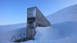 Svalbard Küresel Tohum Deposu