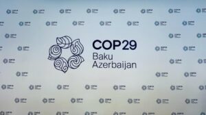 COP29