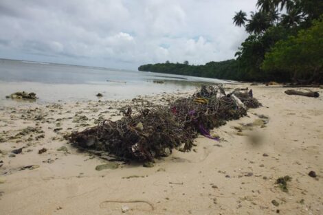 papua yeni gine