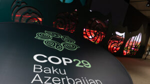 COP29