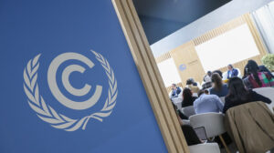 COP29