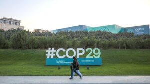 COP29