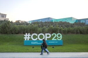 COP29