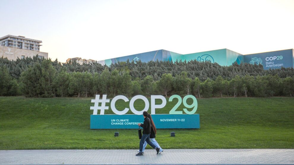 COP29