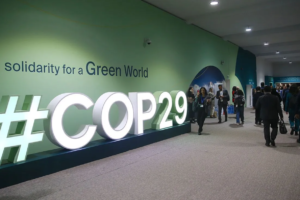 COP29