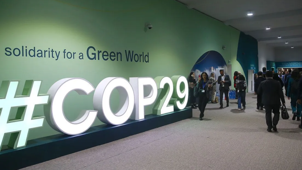 COP29