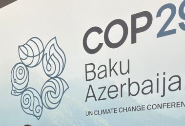 cop29